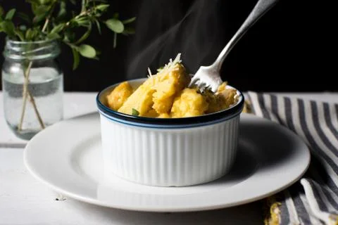 Macaroni and cheese type baked cauliflower gratin Stock Photos