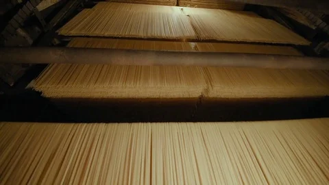 Macaroni cutting operation on an industrial machine. Stock Footage 84791912