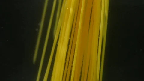 Macaroni pasta splash falling into boiled water in slow motion Vídeo Stock 113594340