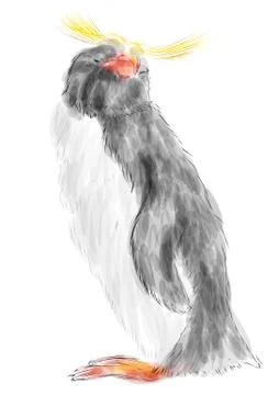 Macaroni penguin Stock Illustration