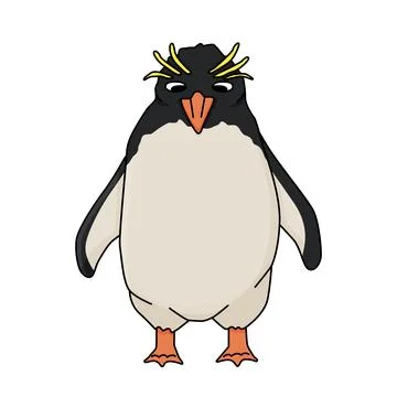 Macaroni penguin. Vector cartoon hand drawn illustration of the crested animal Stock Illustration