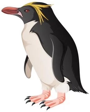 Macaroni Penguin on White Background Stock Illustration