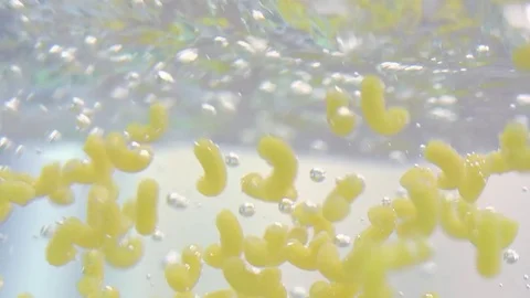 Macaroni in water in slow motion Stock Footage 76040856