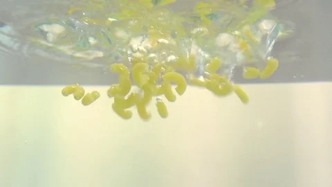 Macaroni in water in slow motion Stock Footage 76040879