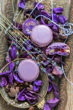 Macarons and lavender. Stock Photos