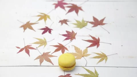Macarons Stock Footage 143464327
