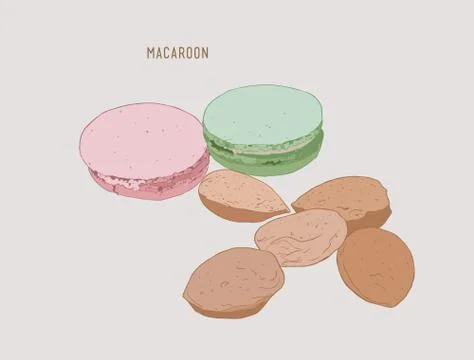 Macaroon and almonds , sketch vector. Stock Illustration