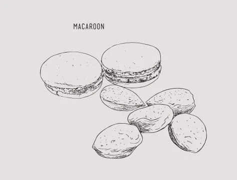 Macaroon and almonds , sketch vector. Stock Illustration