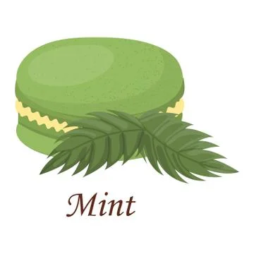 Macaroon cake vector illustration Stockillustratie