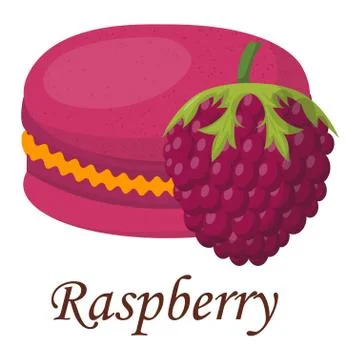 Macaroon cake vector illustration Stock Illustration