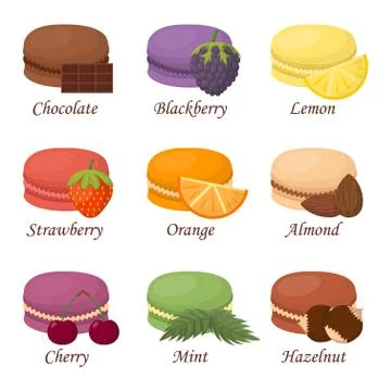 Macaroon cake vector illustration Stock Illustration