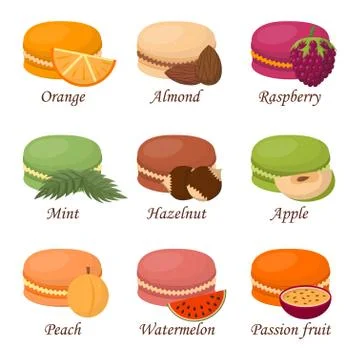 Macaroon cake vector illustration Stock Illustration