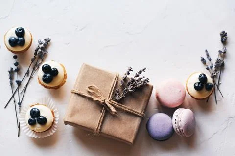 Macaroon gift box lavender Stock Photos