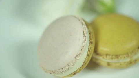 Macaroon 写真素材