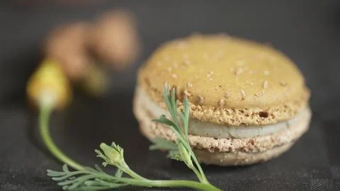 Macaroon Stock Photos