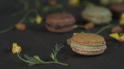 Macaroon 写真素材