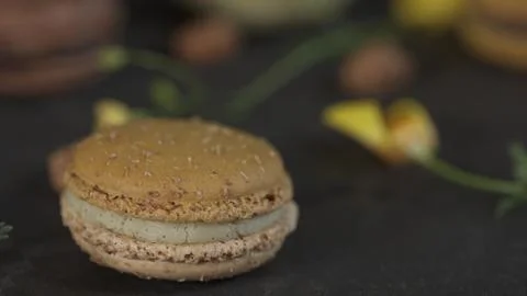 Macaroon Stock Photos