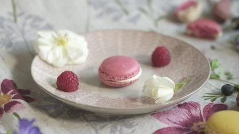 Macaroon Stock Photos