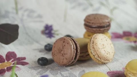 Macaroon 写真素材