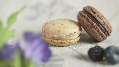Macaroon Stock Photos
