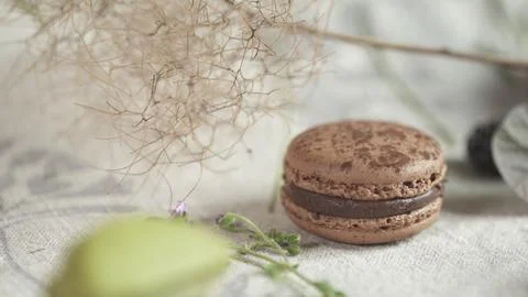 Macaroon Stock Photos