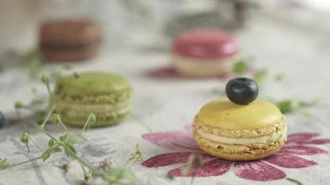 Macaroon 写真素材