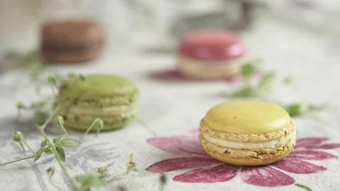 Macaroon Stock Photos