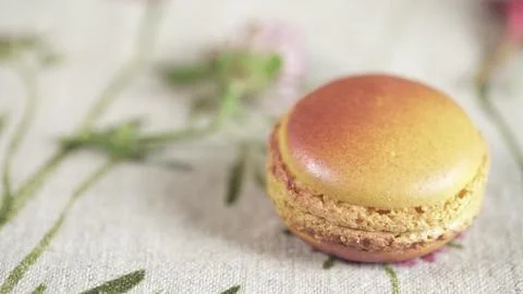 Macaroon Stock Photos