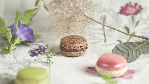 Macaroon Stock Photos