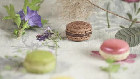 Macaroon 写真素材