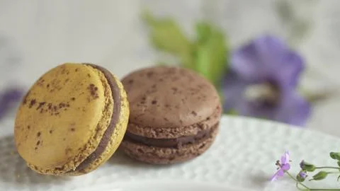 Macaroon Stock Photos