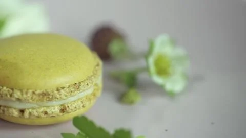 Macaroon 写真素材