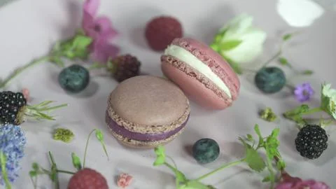 Macaroon Stock Photos
