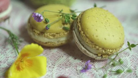 Macaroon Stock Photos