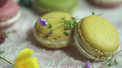 Macaroon 写真素材