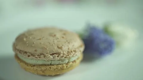 Macaroon 写真素材