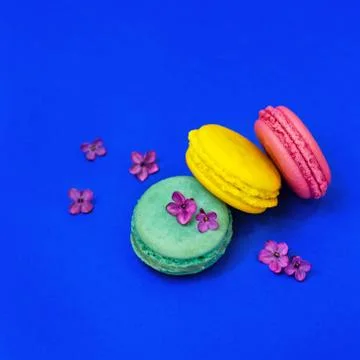Macaroons on a blue background Stock Photos