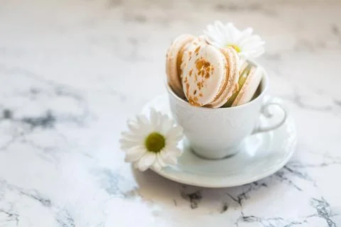 Macaroons, macaron cake in white cup with chamomile Stock Photos