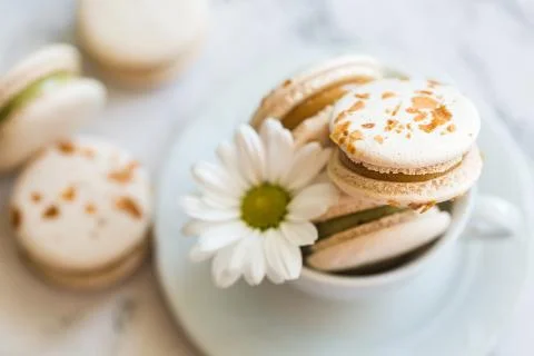 Macaroons, macaron cake in white cup with chamomile Stock Photos