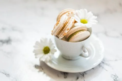 Macaroons, macaron cake in white cup with chamomile Stock Photos