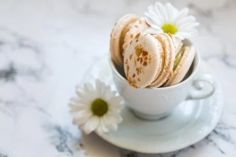 Macaroons, macaron cake in white cup with chamomile Stock Photos