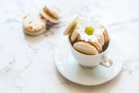 Macaroons, macaron cake in white cup with chamomile Stock Photos