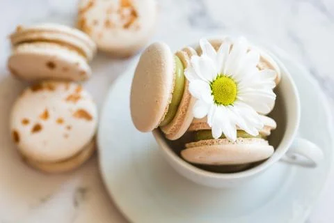 Macaroons, macaron cake in white cup with chamomile Stock Photos