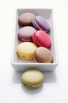 Macaroons in a rectangular dish 스톡 사진