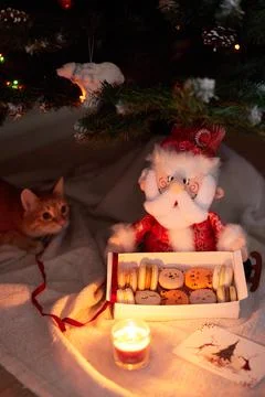 Macaroons under the Christmas tree with a cat and Stock Photos