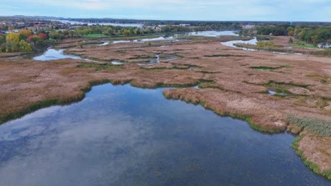 Macatawa River as it runs through Holland, Michigan - marsh land between the Vidéo 341022224
