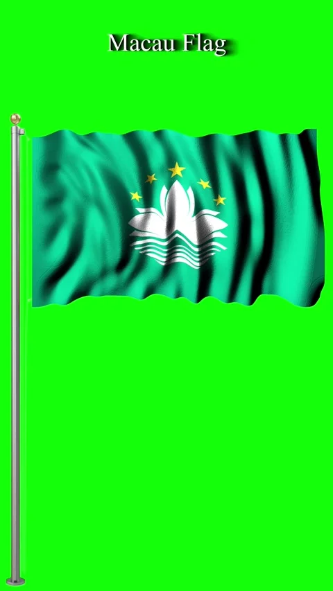 Macau Flag 4K Animation Lotus Emblem in Motion Stock Footage 328526683