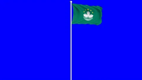 Macau Flag Waving Fluttering on Wind Loopable Green Blue Screen Matte Stock Footage 77578156