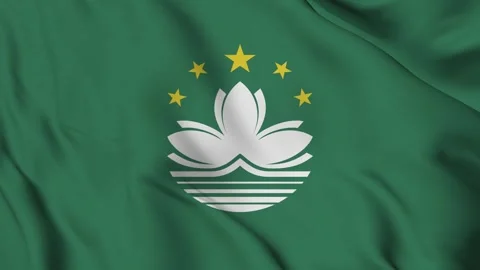 Macau flag Waving Stock Footage 294133539