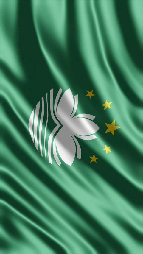 Macau Flag Waving in the Wind with Elegant Green Lotus Emblem Stock Footage 336182141